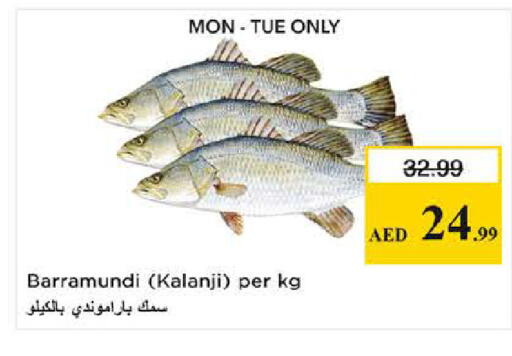 available at نستو هايبرماركت in الإمارات العربية المتحدة , الامارات - دبي