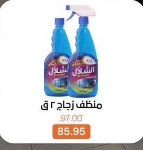 available at بيت الجملة in Egypt - القاهرة