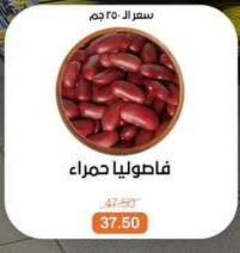 available at بيت الجملة in Egypt - القاهرة