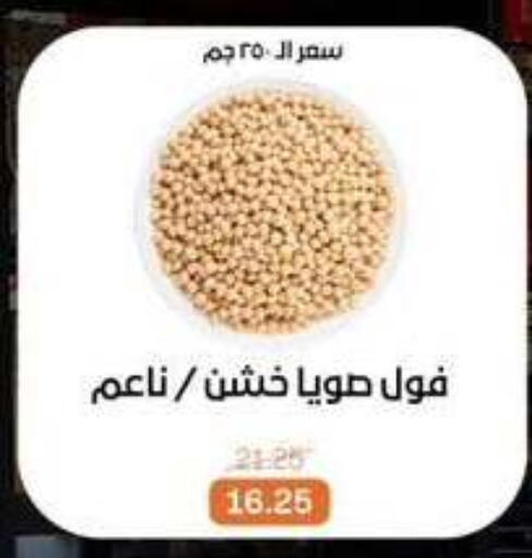 available at Beit El Gomla in Egypt - Cairo
