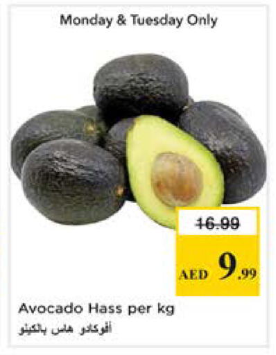 Avocado available at نستو هايبرماركت in الإمارات العربية المتحدة , الامارات - دبي