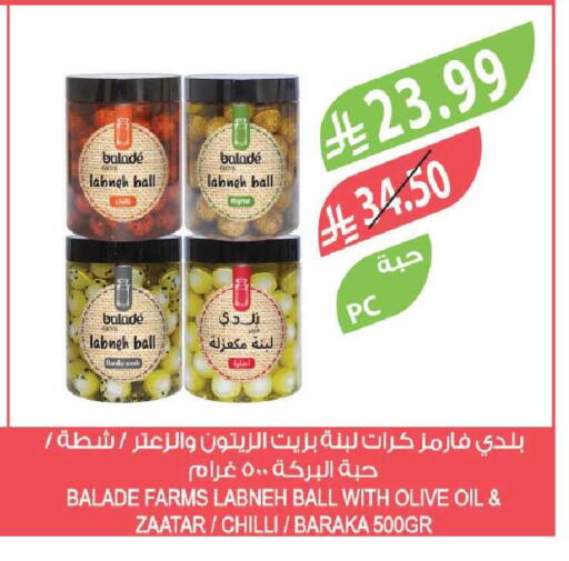 Chilli available at Farm  in KSA, Saudi Arabia, Saudi - Tabuk