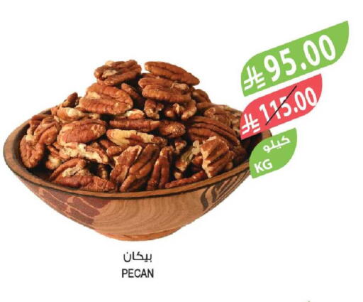 available at Farm  in KSA, Saudi Arabia, Saudi - Tabuk