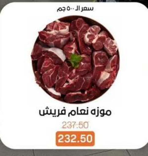available at بيت الجملة in Egypt - القاهرة