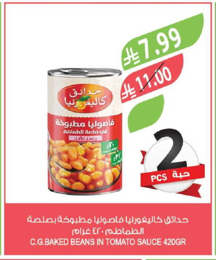 Tomato available at Farm  in KSA, Saudi Arabia, Saudi - Al Khobar