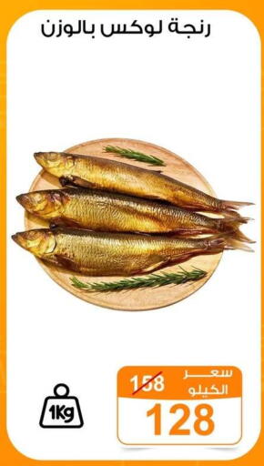 available at جملة ماركت in Egypt - القاهرة