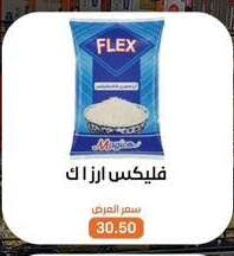 available at بيت الجملة in Egypt - القاهرة
