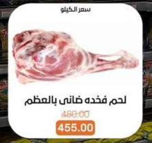 available at بيت الجملة in Egypt - القاهرة
