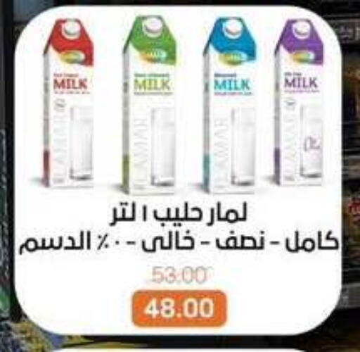 available at بيت الجملة in Egypt - القاهرة