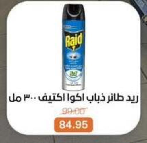 available at بيت الجملة in Egypt - القاهرة