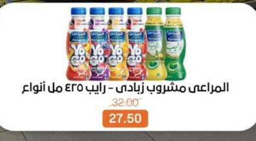 available at بيت الجملة in Egypt - القاهرة