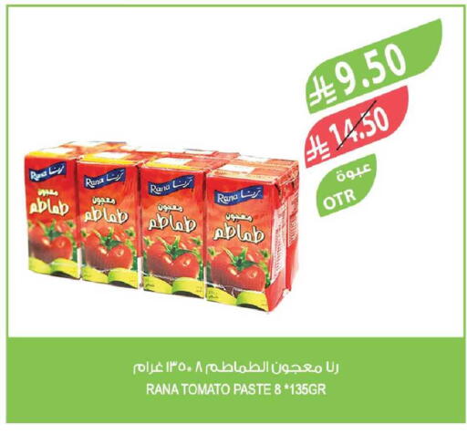 Tomato available at Farm  in KSA, Saudi Arabia, Saudi - Tabuk