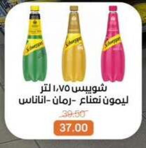 available at بيت الجملة in Egypt - القاهرة