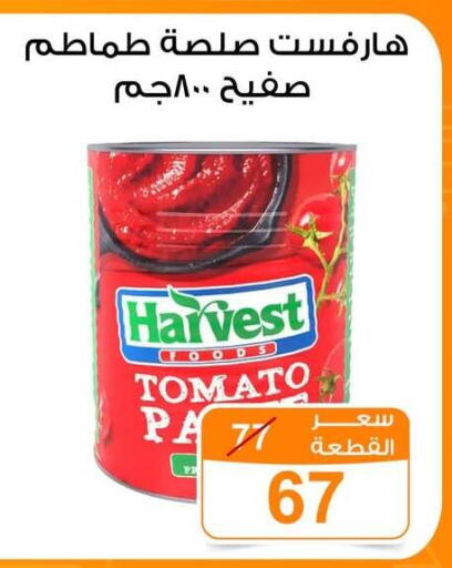 Tomato available at جملة ماركت in Egypt - القاهرة