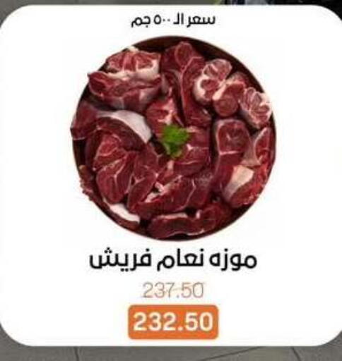 available at بيت الجملة in Egypt - القاهرة