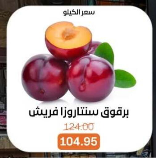 available at بيت الجملة in Egypt - القاهرة