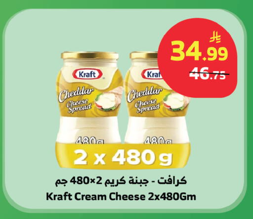 available at Al Raya in KSA, Saudi Arabia, Saudi - Tabuk