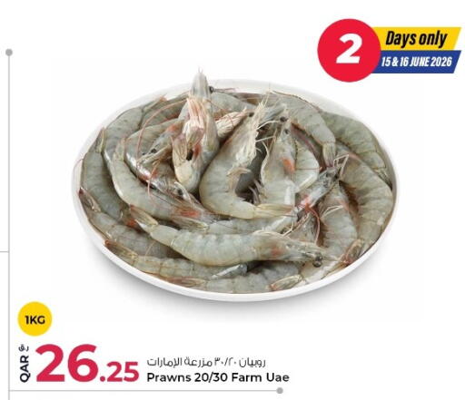 available at روابي هايبرماركت in قطر - أم صلال