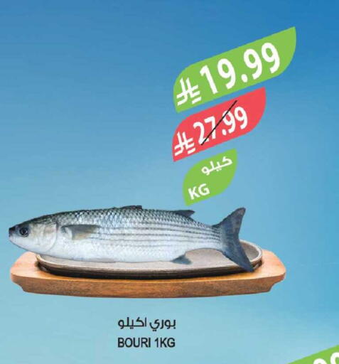 available at المزرعة in مملكة العربية السعودية, السعودية, سعودية - تبوك