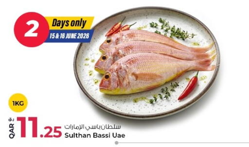 available at روابي هايبرماركت in قطر - أم صلال