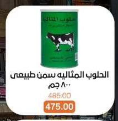 available at بيت الجملة in Egypt - القاهرة