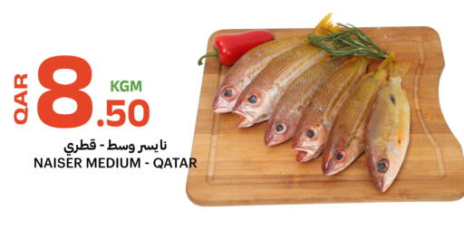 available at البلدي اليوم in قطر - الدوحة