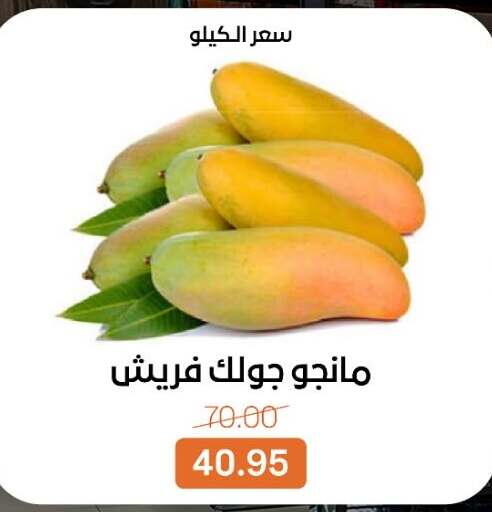 available at Beit El Gomla in Egypt - Cairo