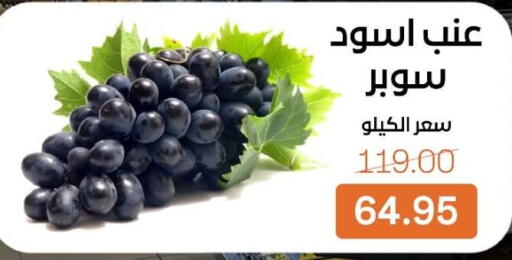 available at Beit El Gomla in Egypt - Cairo