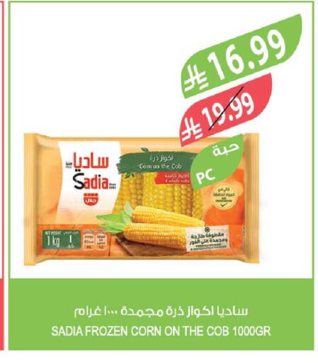 available at Farm  in KSA, Saudi Arabia, Saudi - Tabuk