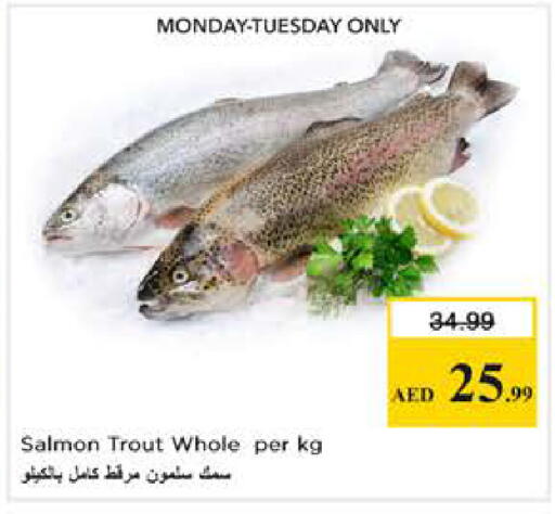 available at نستو هايبرماركت in الإمارات العربية المتحدة , الامارات - دبي