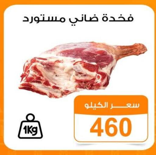 available at جملة ماركت in Egypt - القاهرة