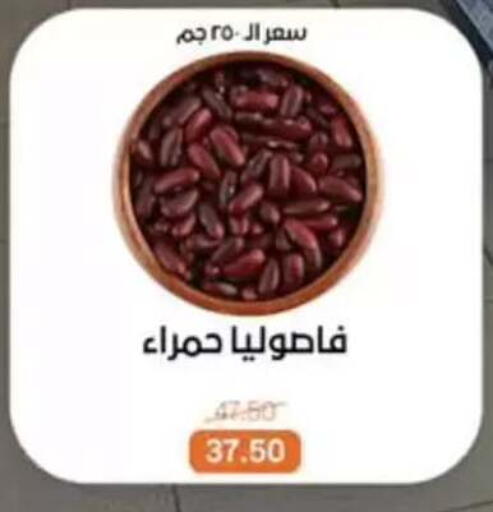 available at Beit El Gomla in Egypt - Cairo