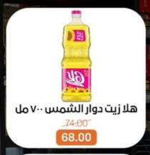 available at بيت الجملة in Egypt - القاهرة