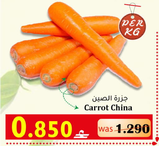 Carrot from China available at Al Muzn Shopping Center in Oman - Muscat