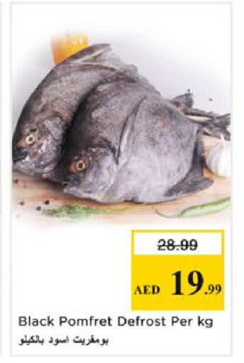 available at نستو هايبرماركت in الإمارات العربية المتحدة , الامارات - رَأْس ٱلْخَيْمَة