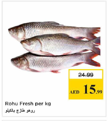 available at Nesto Hypermarket in UAE - Abu Dhabi