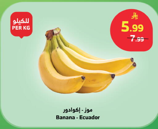 Banana from Ecuador available at Al Raya in KSA, Saudi Arabia, Saudi - Medina