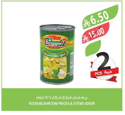 Mushroom available at المزرعة in مملكة العربية السعودية, السعودية, سعودية - نجران