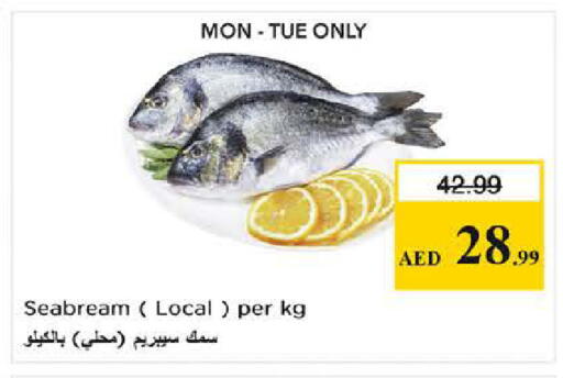 available at نستو هايبرماركت in الإمارات العربية المتحدة , الامارات - دبي