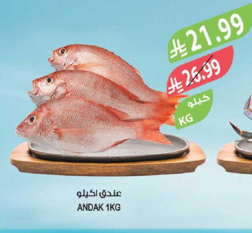 available at المزرعة in مملكة العربية السعودية, السعودية, سعودية - تبوك