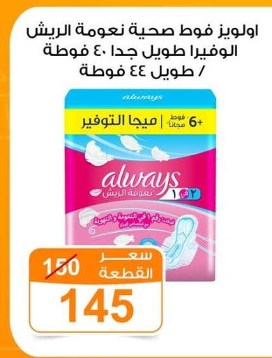 available at جملة ماركت in Egypt - القاهرة