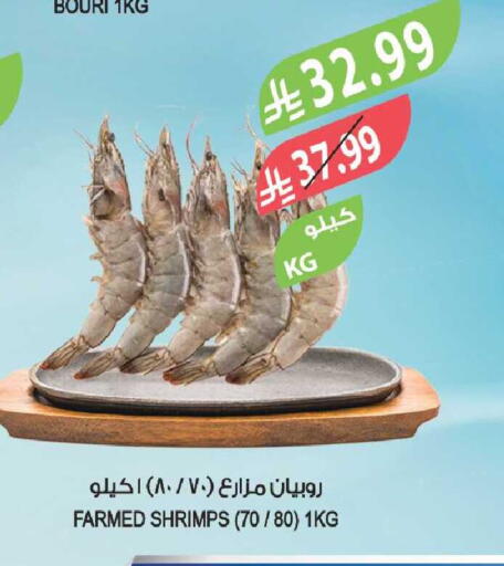 available at المزرعة in مملكة العربية السعودية, السعودية, سعودية - تبوك