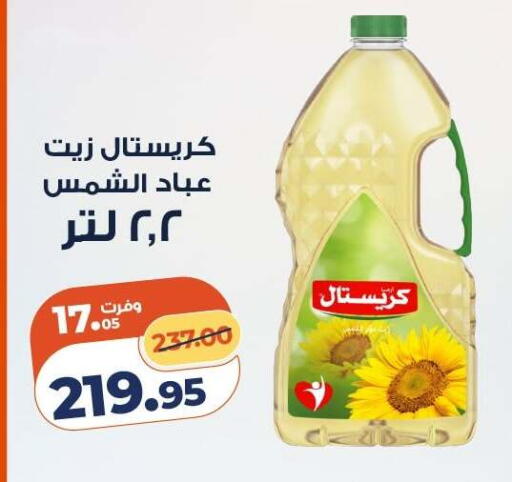 available at كازيون in Egypt - القاهرة
