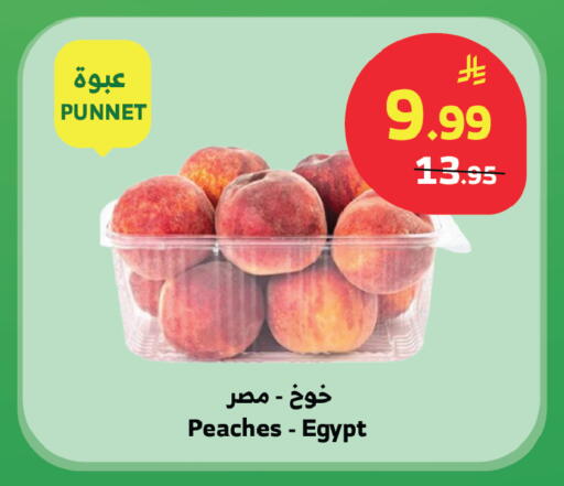 from Egypt available at Al Raya in KSA, Saudi Arabia, Saudi - Medina