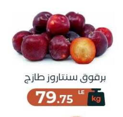 available at Arafa Market in Egypt - Cairo