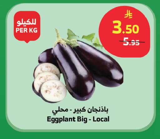Eggplant available at الراية in مملكة العربية السعودية, السعودية, سعودية - نجران