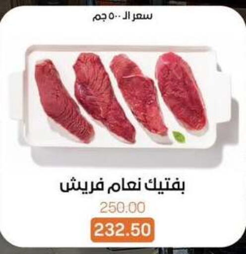 available at بيت الجملة in Egypt - القاهرة