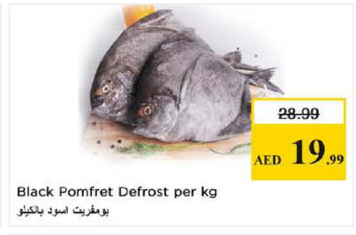 available at نستو هايبرماركت in الإمارات العربية المتحدة , الامارات - دبي