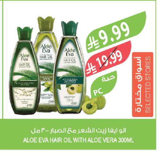 available at المزرعة in مملكة العربية السعودية, السعودية, سعودية - جازان