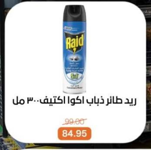 available at بيت الجملة in Egypt - القاهرة